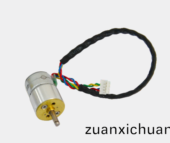 OT-GSM15-612照片打印机电机
