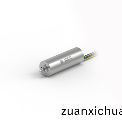 OT-ECS2263无槽无刷电机