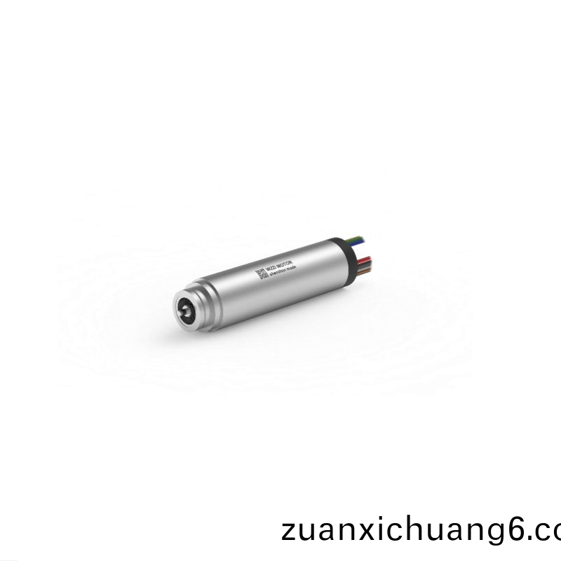 ECS-4P 1348 2对极空心杯无刷电机