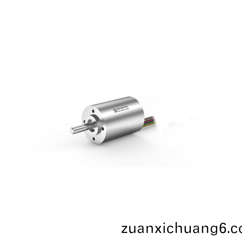 ECS-4P 3040 2对极空心杯无刷电机