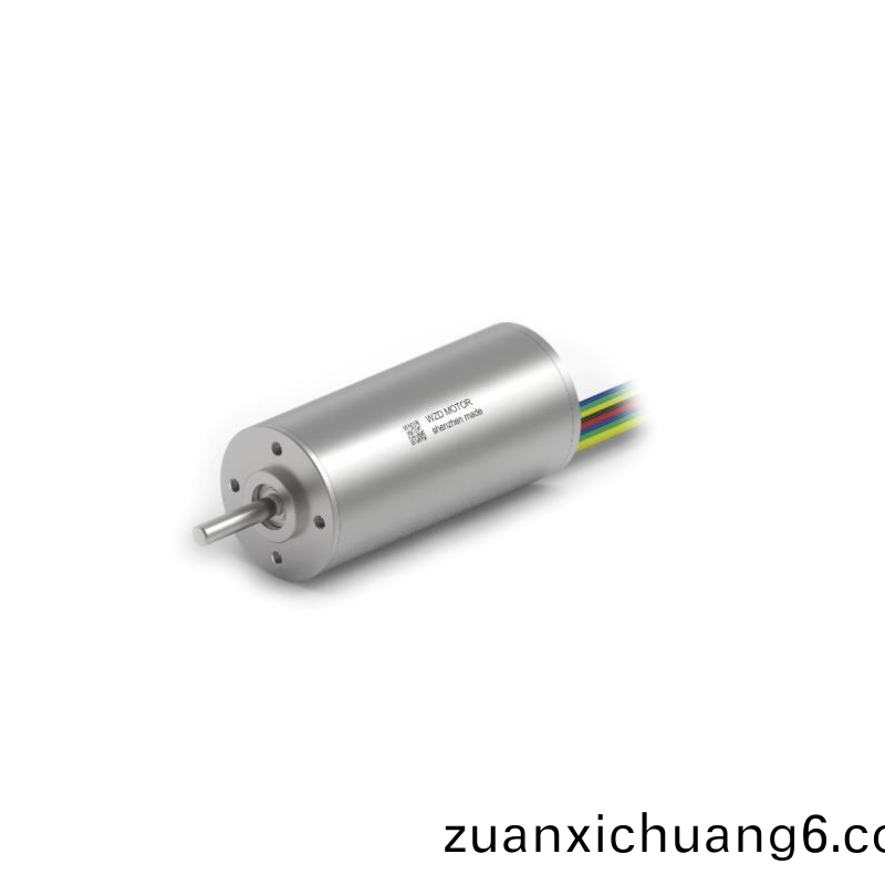 ECS-4P 3060 2对极空心杯无刷电机