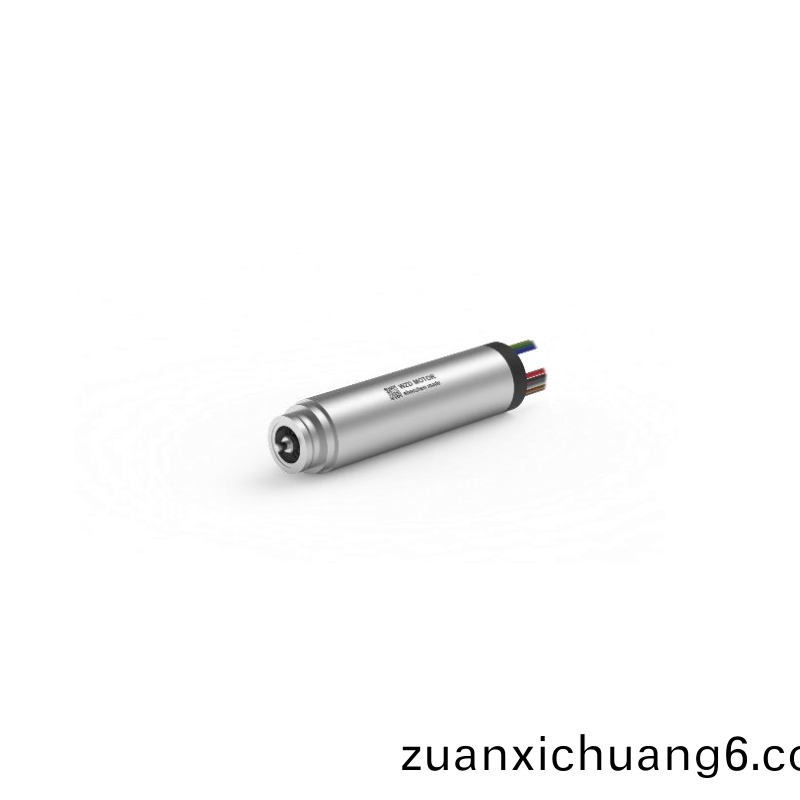 ECS 1348 内置编码器空心杯电机